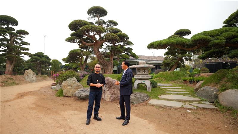 Vườn Nhật Thanh Tùng Cát Tường