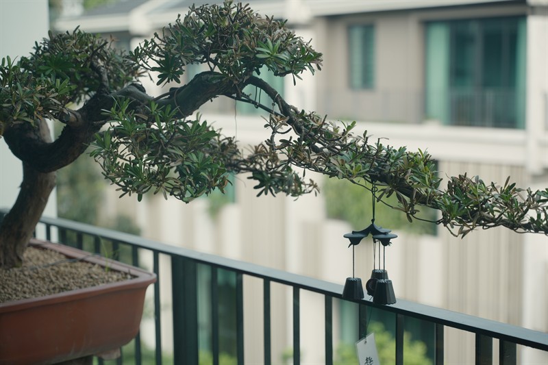 Thiết kế nội thất biệt thự ParkCity